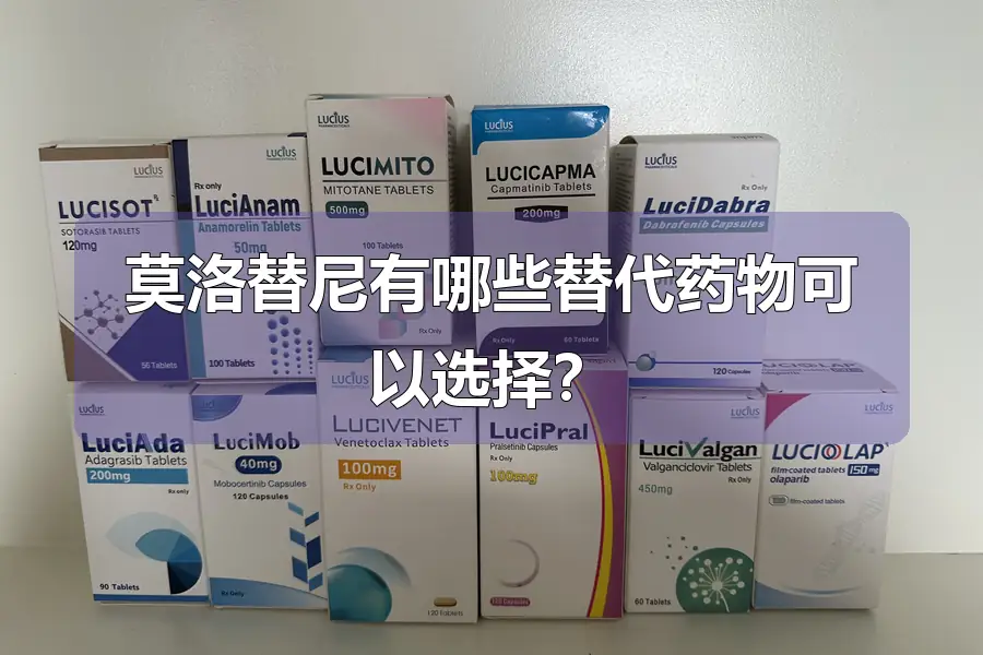 莫洛替尼有哪些替代药物可以选择?